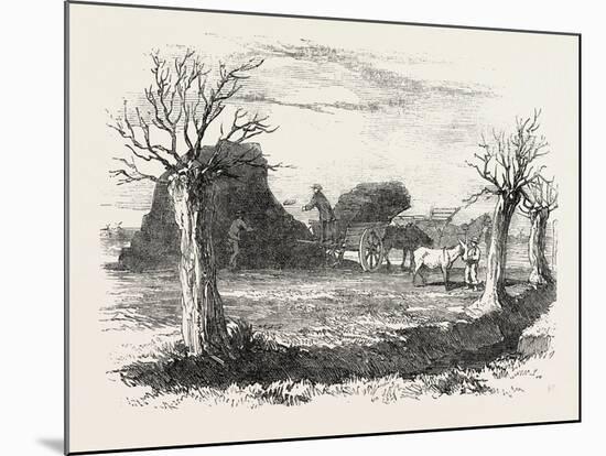 Whittlesea Mere, Carting Peat from the Stack, UK, 1851-null-Mounted Giclee Print
