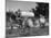 Whitwood Farm, Using of Anhydrous Ammonia Fertilizer-null-Mounted Photographic Print