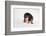 Who, Me?-Susan Sabo-Framed Photographic Print