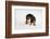 Who, Me?-Susan Sabo-Framed Photographic Print