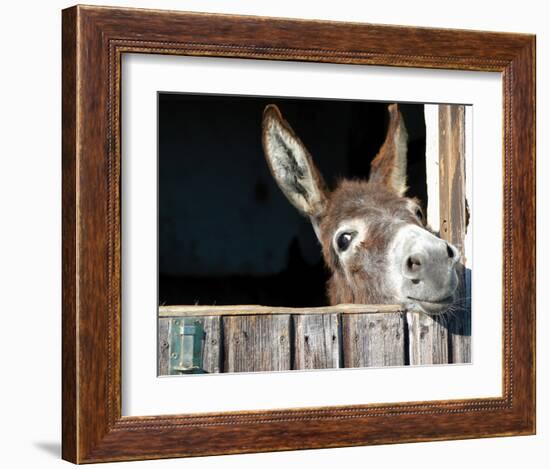 Who's There?-Hawlan-Framed Art Print