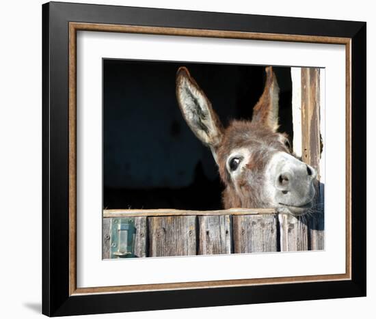 Who's There?-Hawlan-Framed Art Print