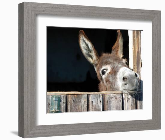 Who's There?-Hawlan-Framed Art Print
