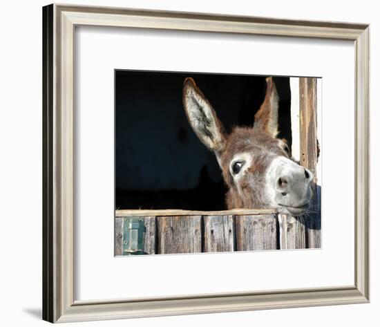 Who's There?-Hawlan-Framed Art Print