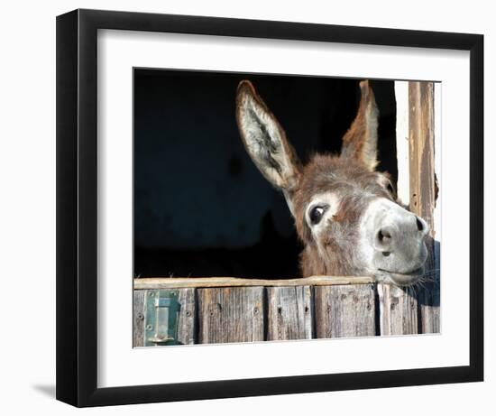 Who's There?-Hawlan-Framed Art Print