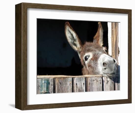 Who's There?-Hawlan-Framed Art Print