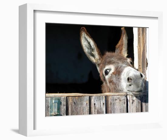 Who's There?-Hawlan-Framed Art Print