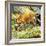 Who's Who in the Zoo: the King's Pet Cat-G. W Backhouse-Framed Giclee Print