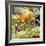 Who's Who in the Zoo: the King's Pet Cat-G. W Backhouse-Framed Giclee Print