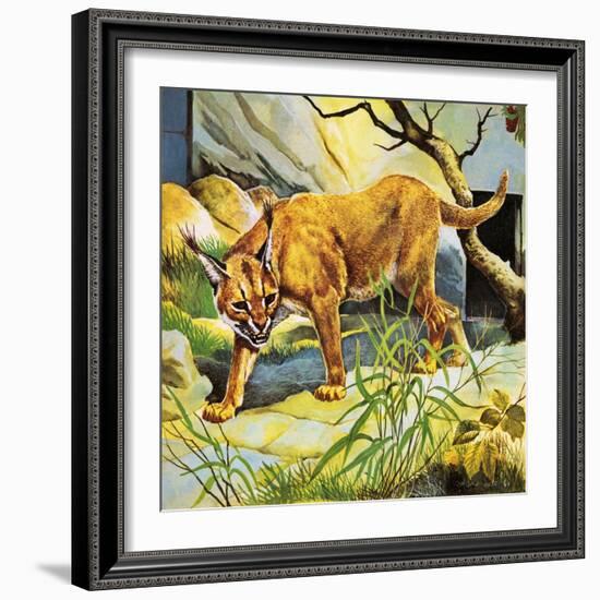 Who's Who in the Zoo: the King's Pet Cat-G. W Backhouse-Framed Giclee Print