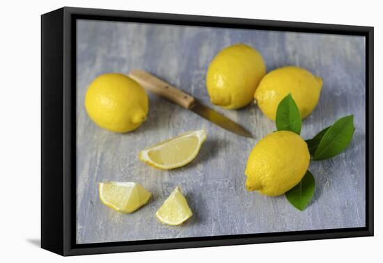 Whole and Sliced Lemons on Grey Subsoil-Jana Ihle-Framed Premier Image Canvas