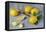 Whole and Sliced Lemons on Grey Subsoil-Jana Ihle-Framed Premier Image Canvas