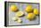 Whole and Sliced Lemons on Grey Subsoil-Jana Ihle-Framed Premier Image Canvas