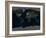 Whole Earth At Night, Satellite Image-PLANETOBSERVER-Framed Premium Photographic Print