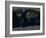 Whole Earth At Night, Satellite Image-PLANETOBSERVER-Framed Photographic Print