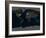 Whole Earth At Night, Satellite Image-PLANETOBSERVER-Framed Photographic Print