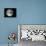 Whole Earth From Apollo 17-null-Framed Premier Image Canvas displayed on a wall