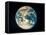 Whole Earth From Apollo 17-null-Framed Premier Image Canvas