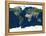 Whole Earth, Satellite Image-PLANETOBSERVER-Framed Premier Image Canvas