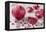 Whole Pomegranate and Pomegranate Pieces on White Wooden Table-Jana Ihle-Framed Premier Image Canvas