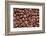 Whole Roasted Coffee Beans-Steve Gadomski-Framed Photographic Print