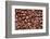 Whole Roasted Coffee Beans-Steve Gadomski-Framed Photographic Print