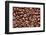 Whole Roasted Coffee Beans-Steve Gadomski-Framed Photographic Print