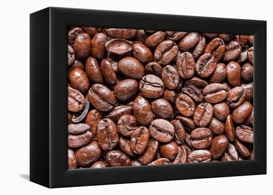 Whole Roasted Coffee Beans-Steve Gadomski-Framed Premier Image Canvas