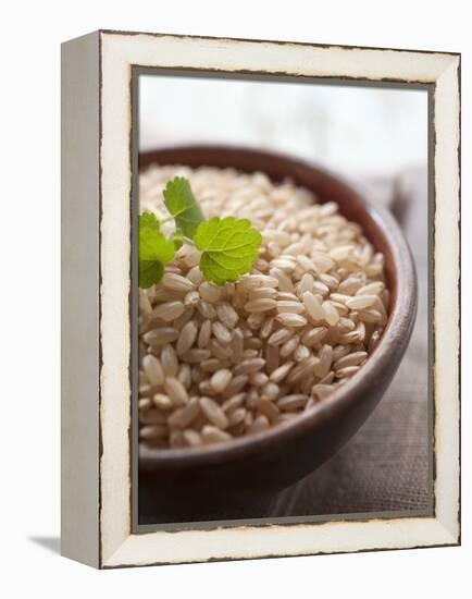 Wholegrain Rice in a Terracotta Bowl-Malgorzata Stepien-Framed Premier Image Canvas