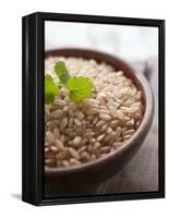 Wholegrain Rice in a Terracotta Bowl-Malgorzata Stepien-Framed Premier Image Canvas