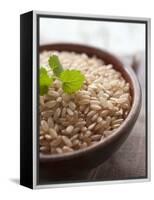 Wholegrain Rice in a Terracotta Bowl-Malgorzata Stepien-Framed Premier Image Canvas