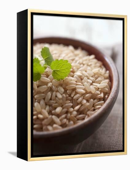 Wholegrain Rice in a Terracotta Bowl-Malgorzata Stepien-Framed Premier Image Canvas