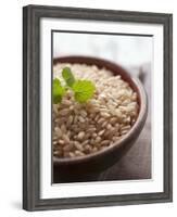 Wholegrain Rice in a Terracotta Bowl-Malgorzata Stepien-Framed Photographic Print