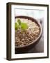 Wholegrain Rice in a Terracotta Bowl-Malgorzata Stepien-Framed Photographic Print