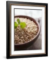 Wholegrain Rice in a Terracotta Bowl-Malgorzata Stepien-Framed Photographic Print