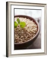 Wholegrain Rice in a Terracotta Bowl-Malgorzata Stepien-Framed Photographic Print