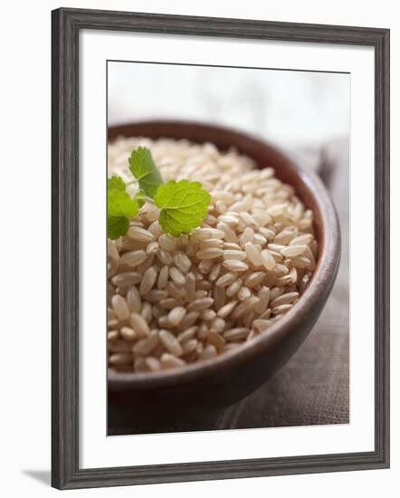 Wholegrain Rice in a Terracotta Bowl-Malgorzata Stepien-Framed Photographic Print