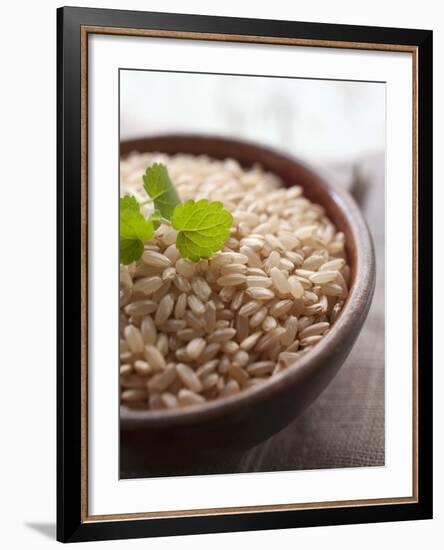 Wholegrain Rice in a Terracotta Bowl-Malgorzata Stepien-Framed Photographic Print