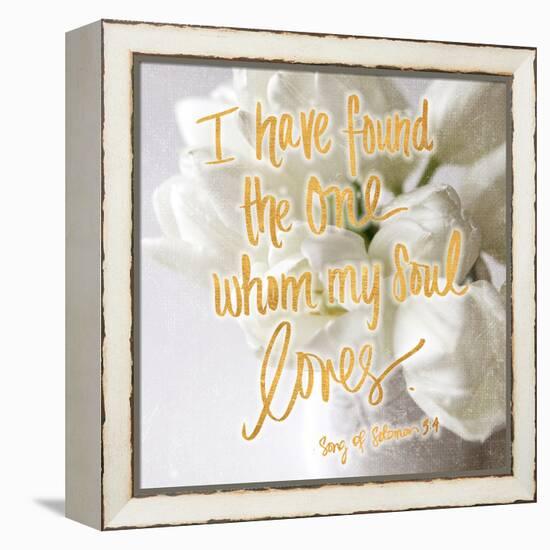 Whom my Soul Loves-Sarah Gardner-Framed Stretched Canvas