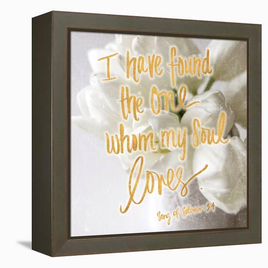 Whom my Soul Loves-Sarah Gardner-Framed Stretched Canvas