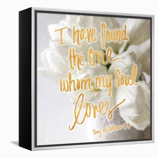 Whom my Soul Loves-Sarah Gardner-Framed Stretched Canvas