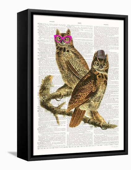 Whoo Are You Looking At ?-Christopher James-Framed Stretched Canvas