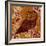 Whoo's That Owl 2-Bella Dos Santos-Framed Art Print