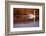 Whooper Swan male on moorland loch, Isle of Skye, Hebrides, Scotland-Laurie Campbell-Framed Photographic Print