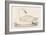 Whooper Swan-Reverend Francis O. Morris-Framed Art Print