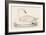 Whooper Swan-Reverend Francis O. Morris-Framed Art Print