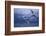 Whooper Swans Flying over Water-DLILLC-Framed Photographic Print