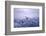 Whooper Swans Flying-DLILLC-Framed Photographic Print