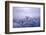 Whooper Swans Flying-DLILLC-Framed Photographic Print