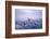 Whooper Swans Flying-DLILLC-Framed Photographic Print